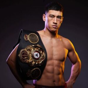 Bivol Bivol