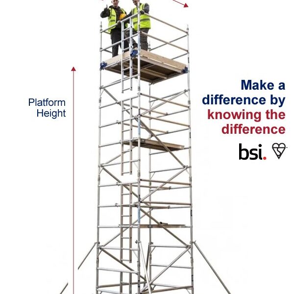 LEWIS double width industrial scaffold tower main