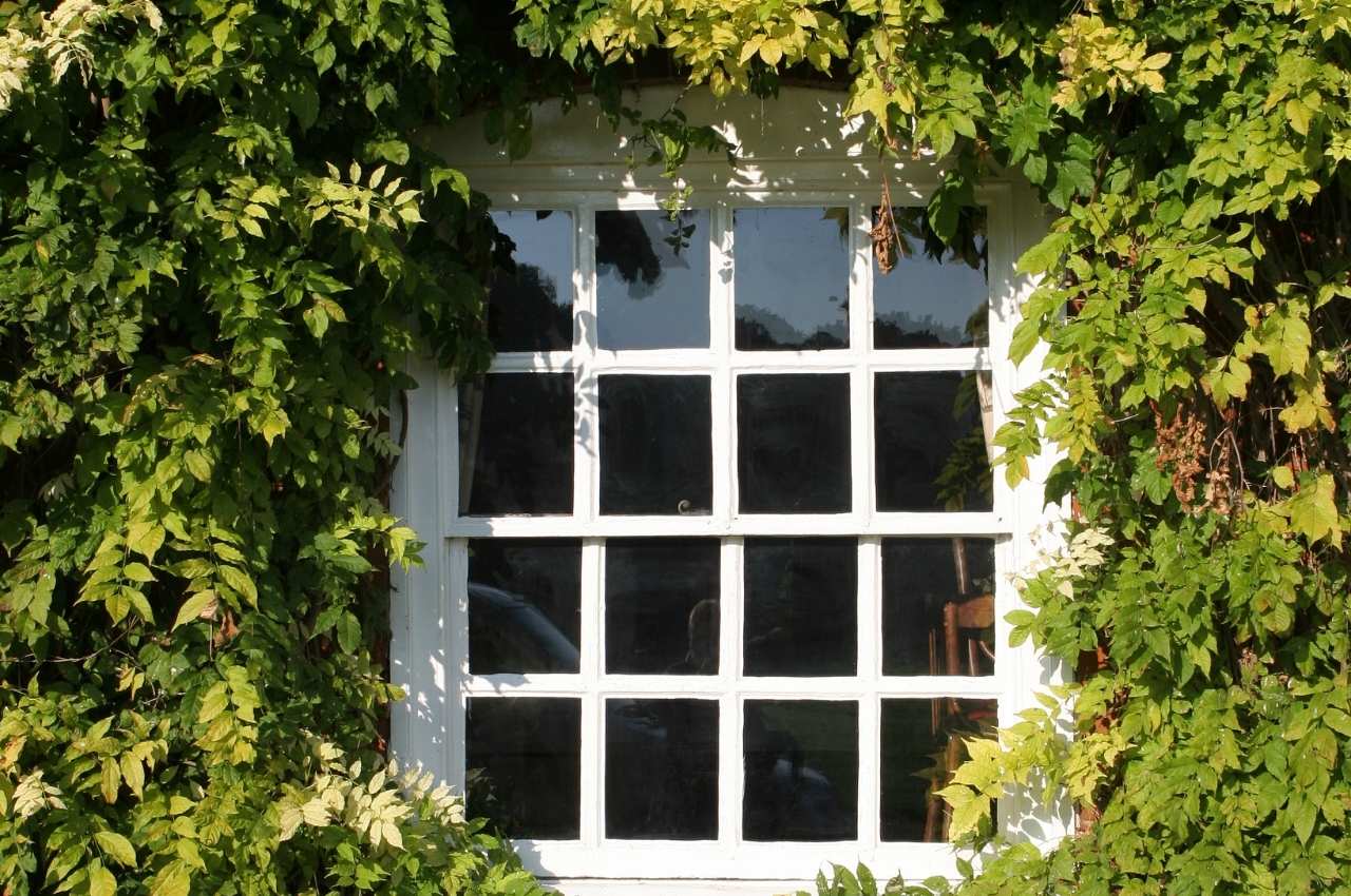 scaffold tower to work safely repairing double-hung sash windows